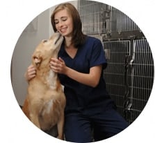 pet-care-img2